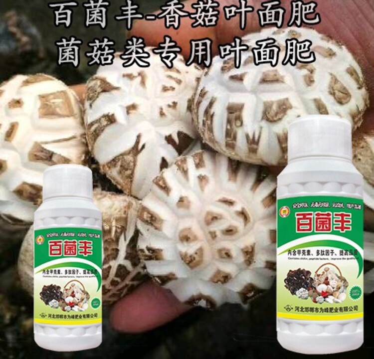 叶面肥生产工艺生产技术