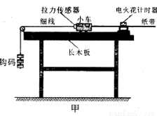 野生菌系列